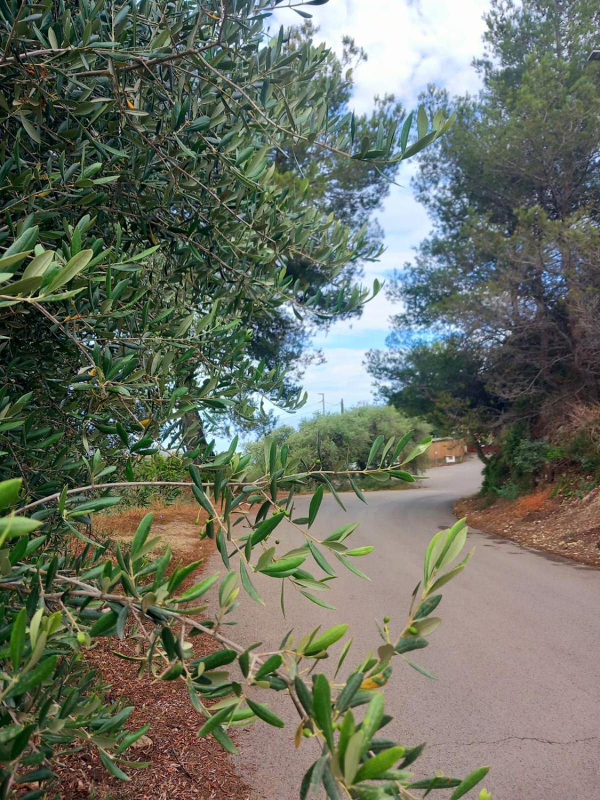 Dolci Risvegli Appartamento Vista Mare Ventimiglia Bagian luar foto